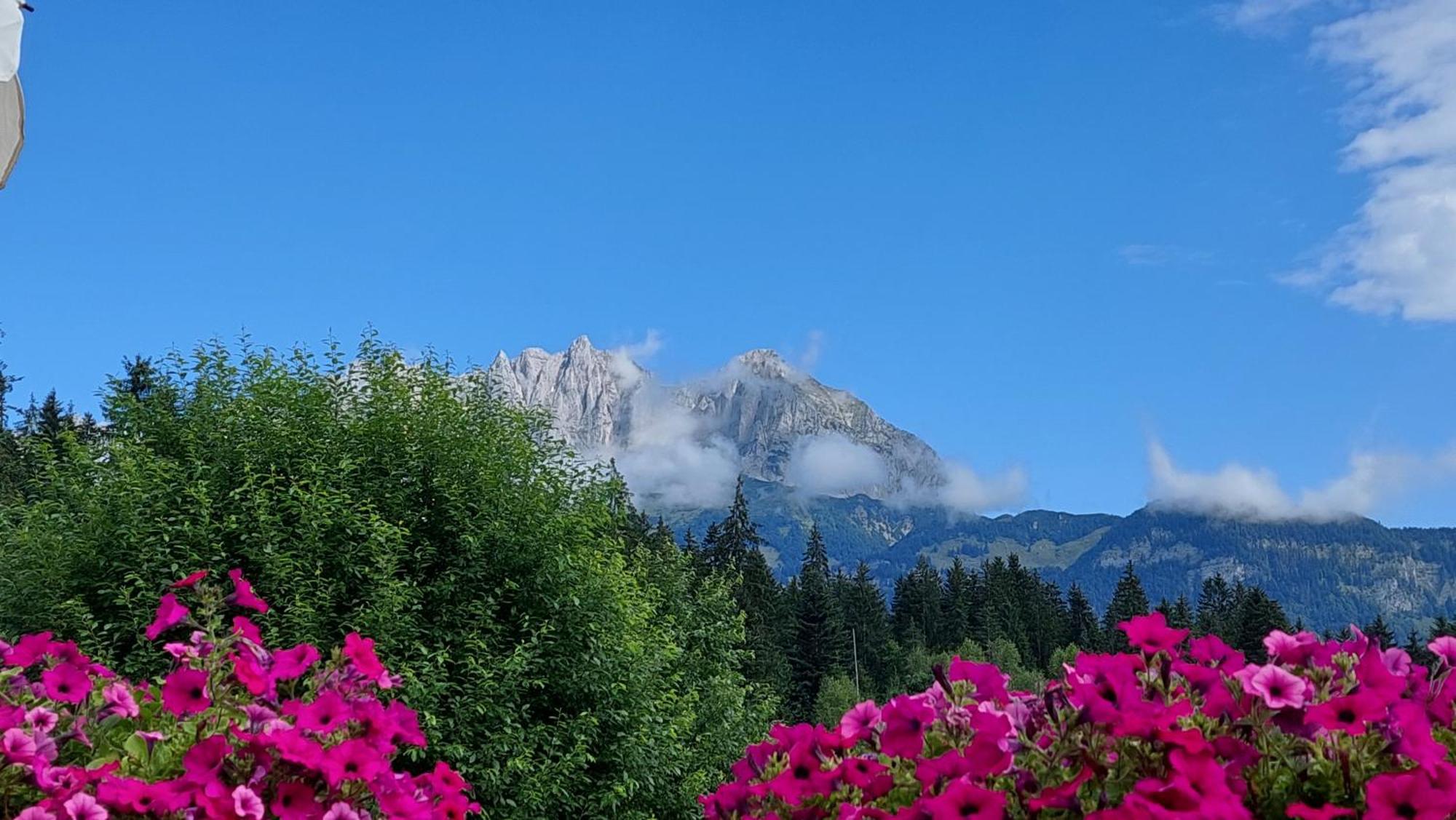 Gartenhotel Rosenhof Bei Kitzbuehel Oberndorf en Tyrol Extérieur photo